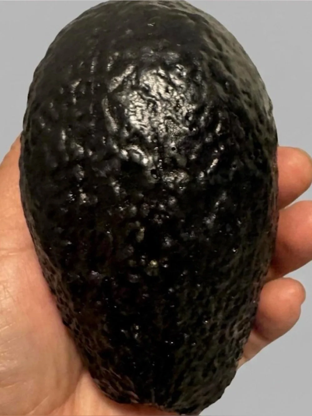 Avocado Coin Purse Made in Mexico – Cute Funny Novelty Change Pouch Black Avocad